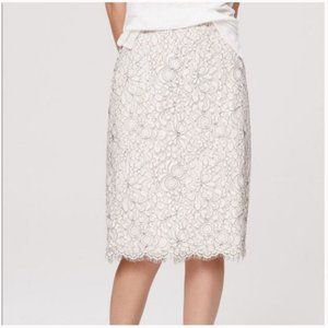 Loft Lace Pencil Skirt